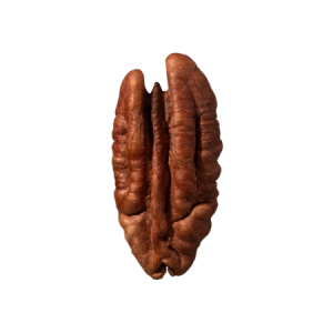 Pecan