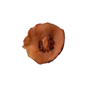 Garcinia atroviridis