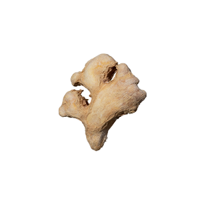 Dried Ginger